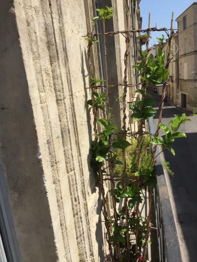 Chez Noelle Et Emmanuel Apartamento Montpellier Exterior foto